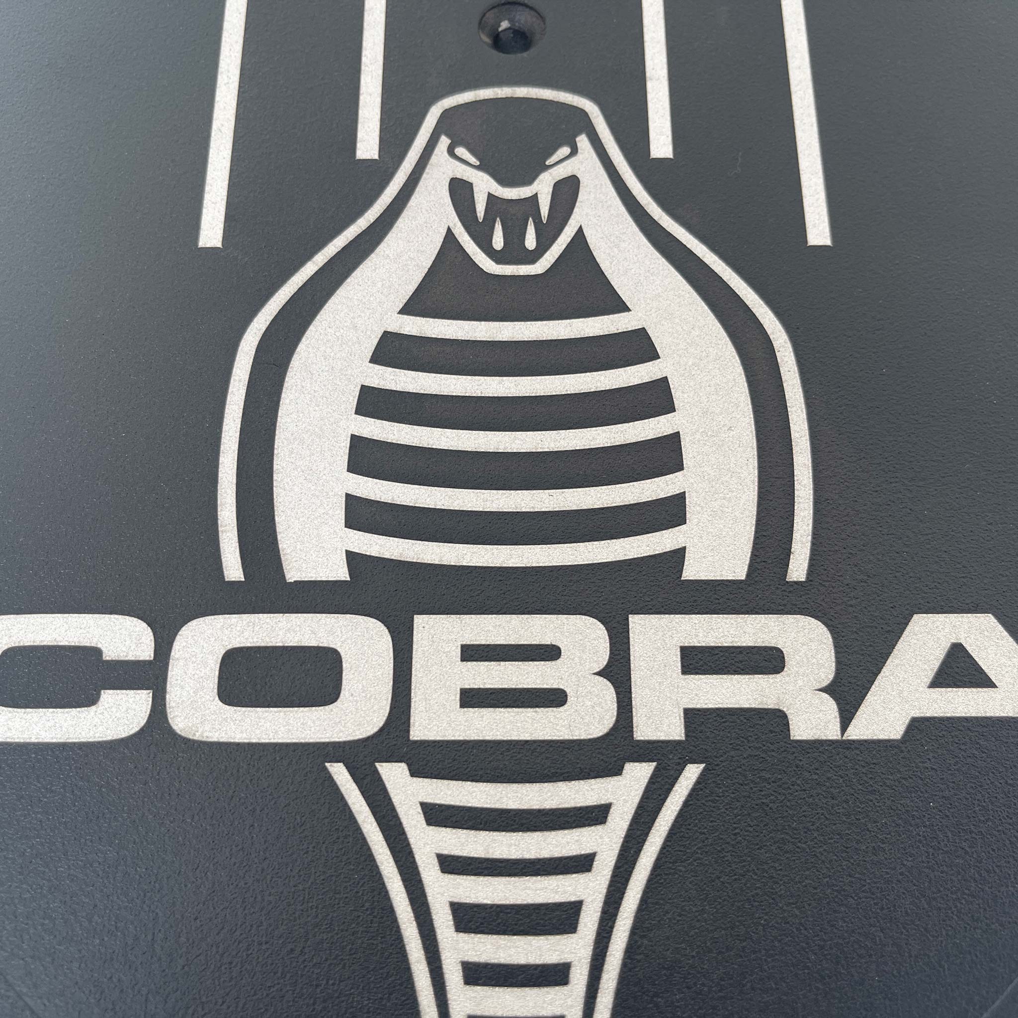 B16228B Fender Emblem Cobra Snake - Larry's Thunderbird & Mustang Parts